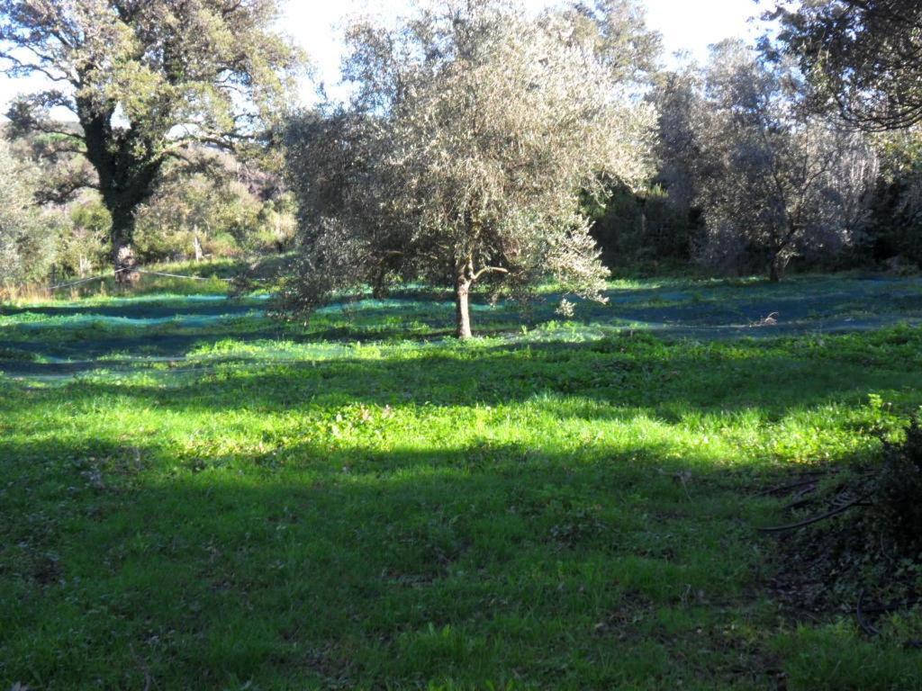 Gite U Licetu A La Campagne Oreta Exteriér fotografie