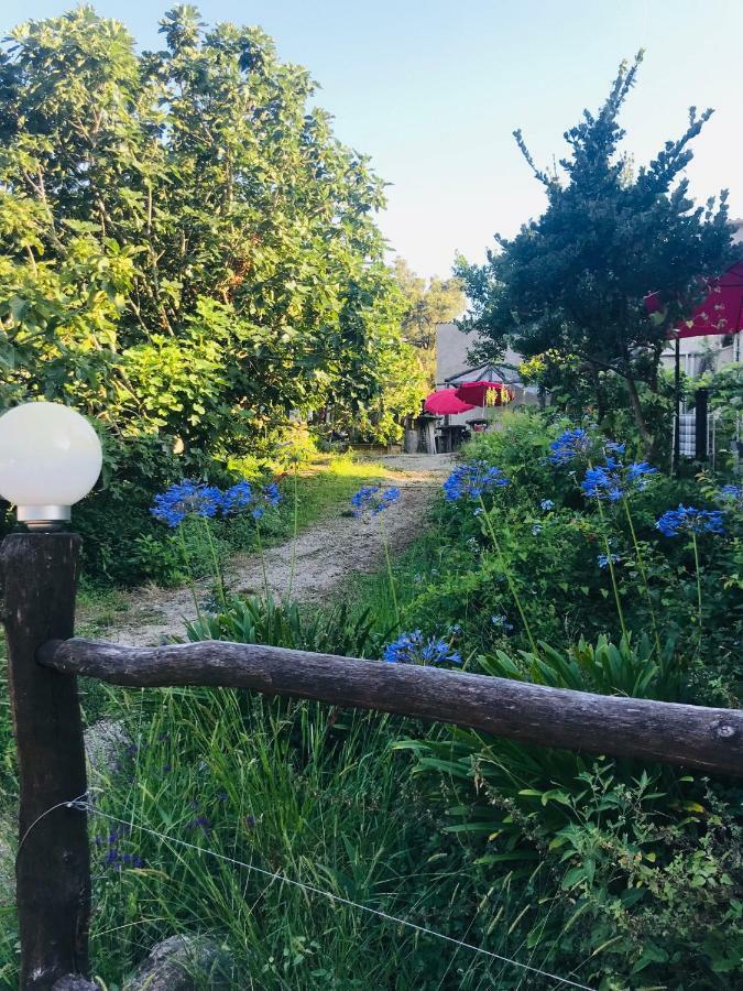 Gite U Licetu A La Campagne Oreta Exteriér fotografie